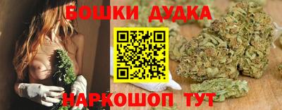 прущие крисы Прохладный