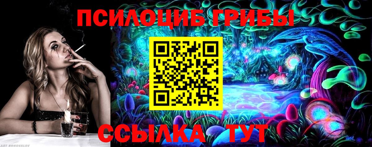 Галлюциногенные грибы GOLDEN TEACHER Заводоуковск