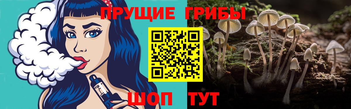 Заводоуковск  Галлюциногенные грибы Cubensis  как найти закладки  Вход с VPN 