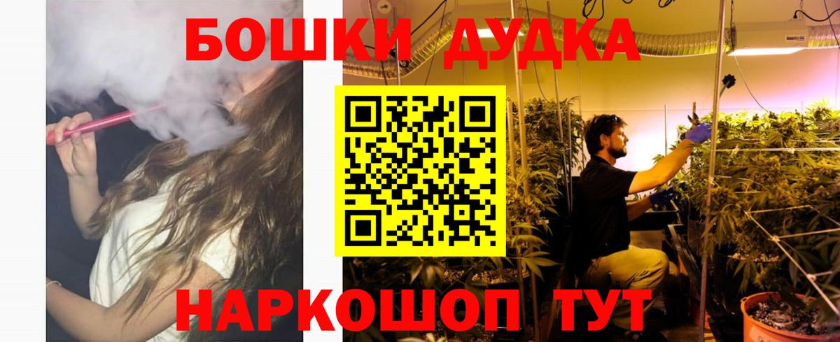 Бошки Шишки семена Заводоуковск